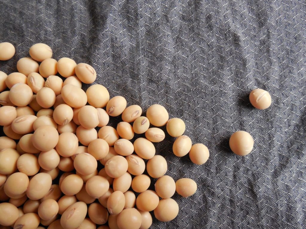 La lécithine de soja est issue des fèves de soja